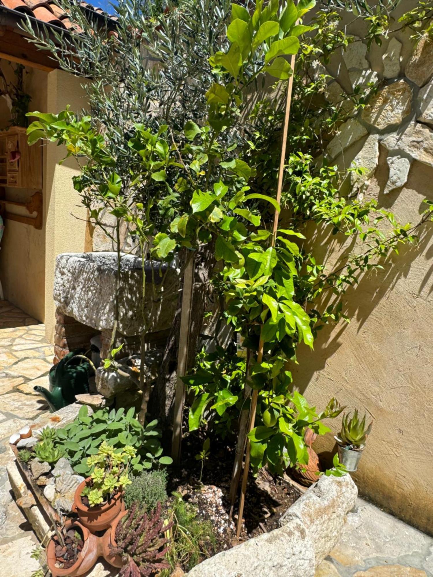 וולי לוסיניי Mediterranes Ferienhaus M. Terrasse מראה חיצוני תמונה